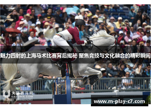 魅力四射的上海马术比赛背后揭秘 聚焦竞技与文化融合的精彩瞬间