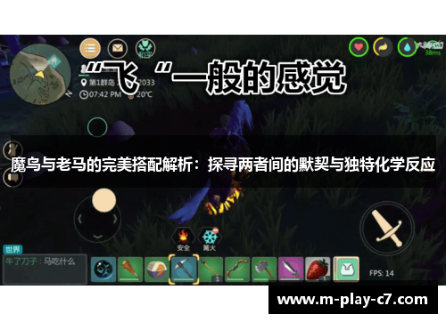 魔鸟与老马的完美搭配解析：探寻两者间的默契与独特化学反应