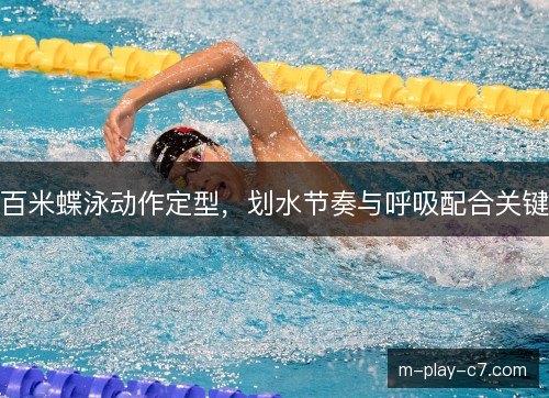 百米蝶泳动作定型，划水节奏与呼吸配合关键